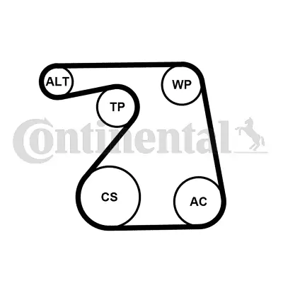 Water Pump + V-ribbed Belt Kit